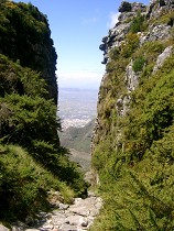 Tafelberg